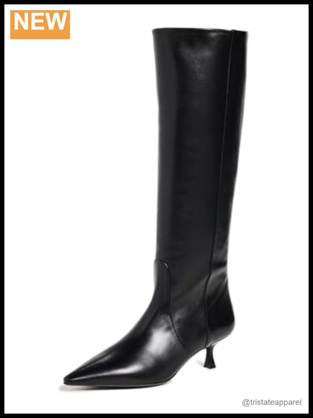 Stuart Weitzman Naomi Leather Pointed Toe Stiletto Heel Boots